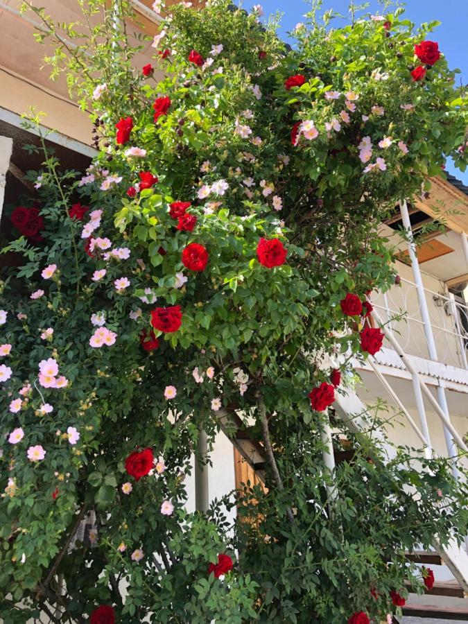 Гостевой Дом Айша Guest House Aisha Cholpon-Ata Esterno foto